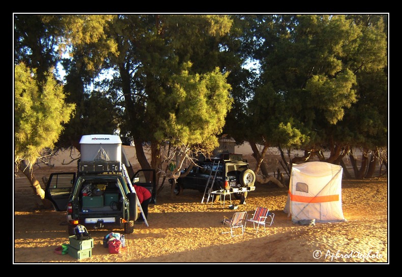 128 Notre campement a Ksar Ghilane a l ecart  du camping de l oasis